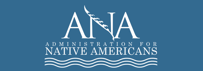 ANA Logo Image